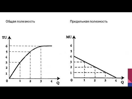 Общая полезность Предельная полезность