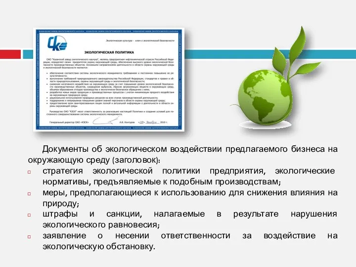 Документы об экологическом воздействии предлагаемого бизнеса на окружающую среду (заголовок): стратегия