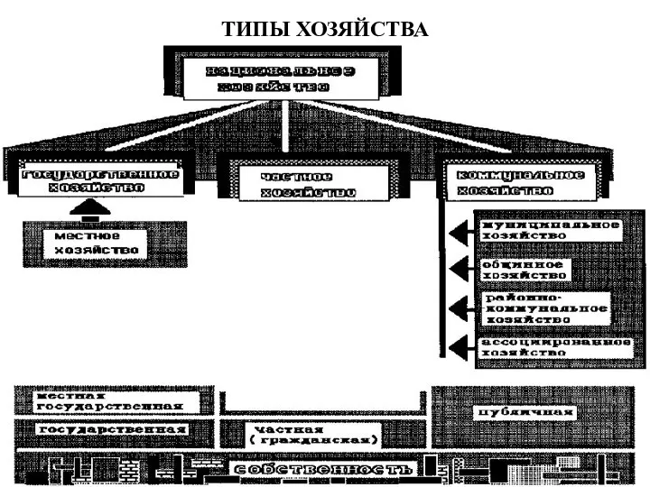 ТИПЫ ХОЗЯЙСТВА