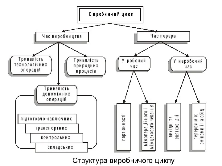 Структура виробничого циклу