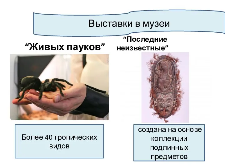 Выставки в музеи “Живых пауков” “Последние неизвестные” Более 40 тропических видов