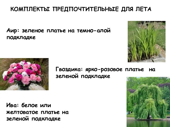 Аир: зеленое платье на темно-алой подкладке Гвоздика: ярко-розовое платье на зеленой