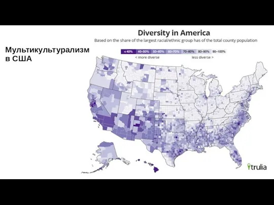 Мультикультурализм в США