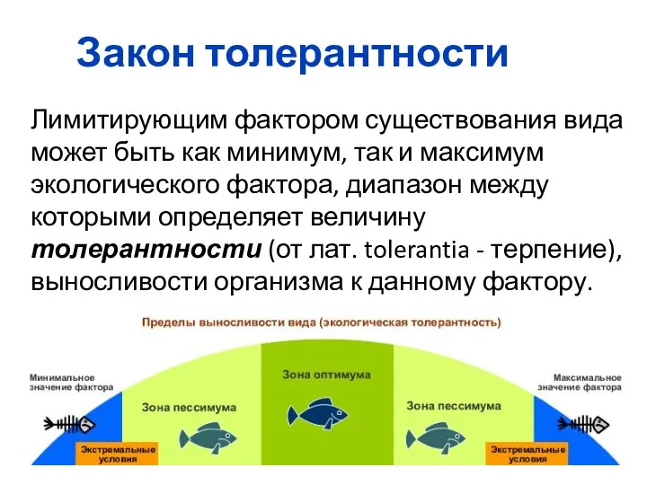 Закон толерантности Лимитирующим фактором существования вида может быть как минимум, так