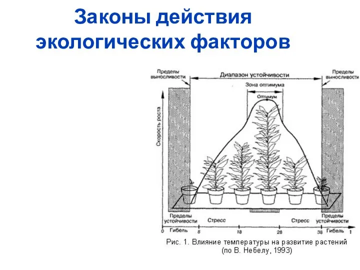 Законы действия экологических факторов