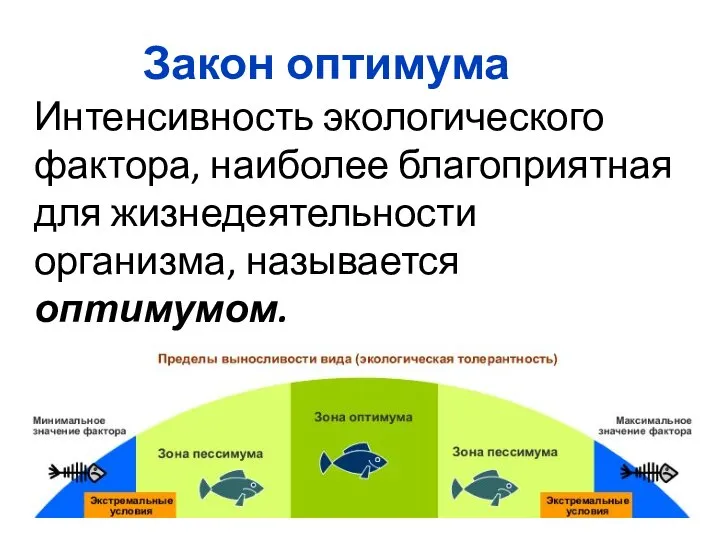 Интенсивность экологического фактора, наиболее благоприятная для жизнедеятельности организма, называется оптимумом. Закон оптимума