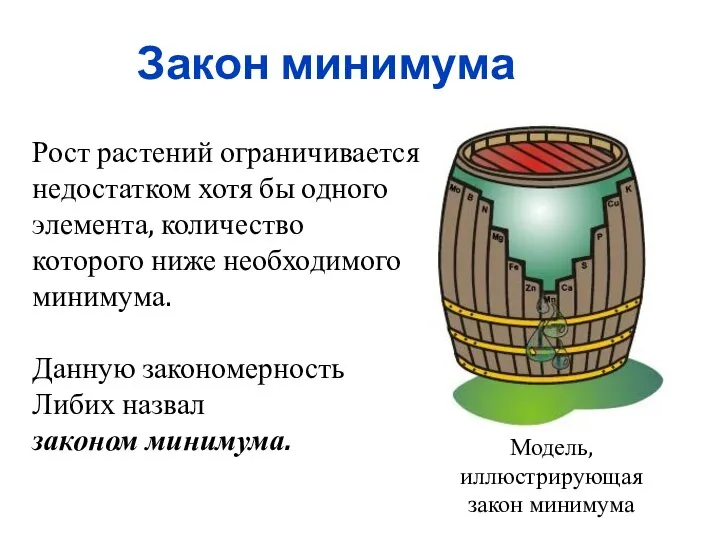 Закон минимума Модель, иллюстрирующая закон минимума Рост растений ограничивается недостатком хотя