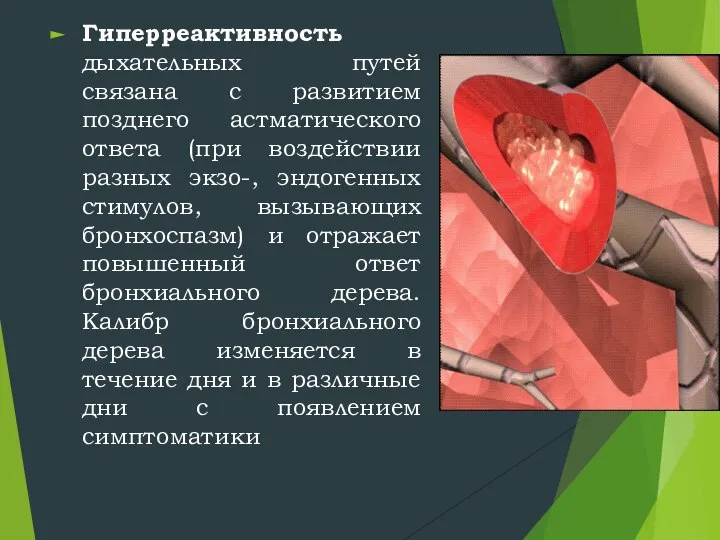 Гиперреактивность дыхательных путей связана с развитием позднего астматического ответа (при воздействии