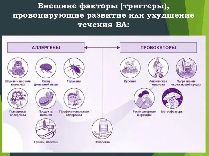 Внешние факторы (триггеры), провоцирующие развитие или ухудшение течения БА: