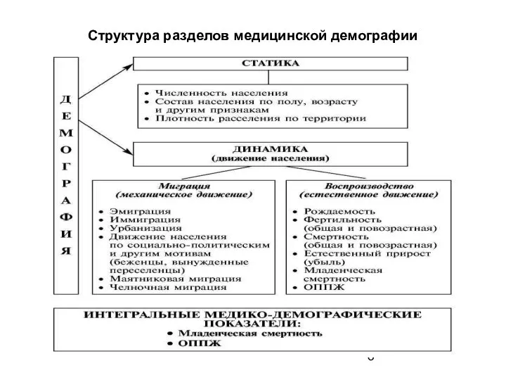 Структура разделов медицинской демографии