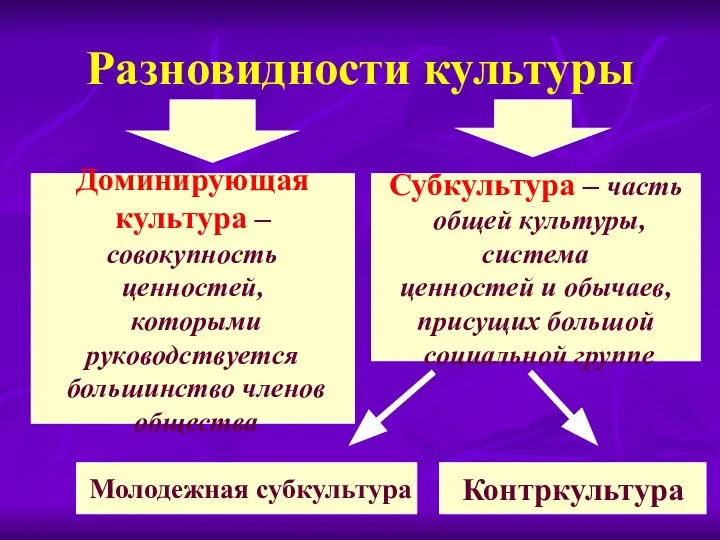 Разновидности культуры Доминирующая культура – совокупность ценностей, которыми руководствуется большинство членов