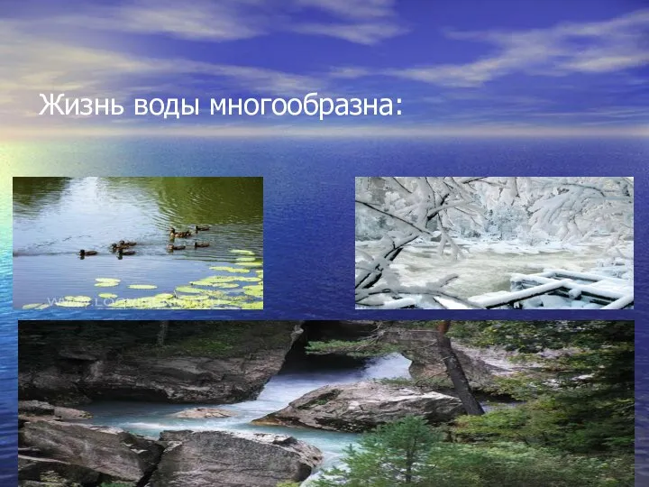 Жизнь воды многообразна: