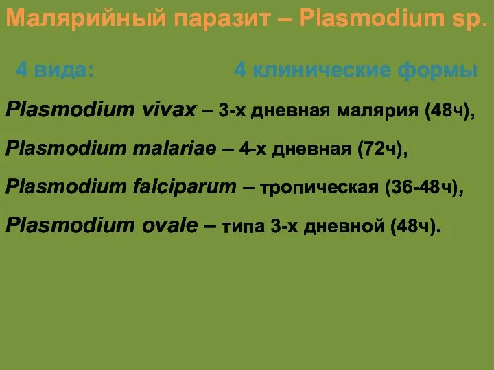 Малярийный паразит – Plasmodium sp. 4 вида: 4 клинические формы Plasmodium
