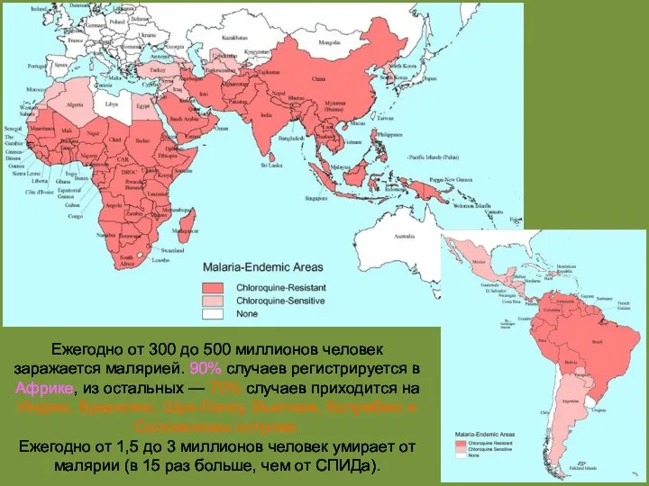 Ежегодно от 300 до 500 миллионов человек заражается малярией. 90% случаев