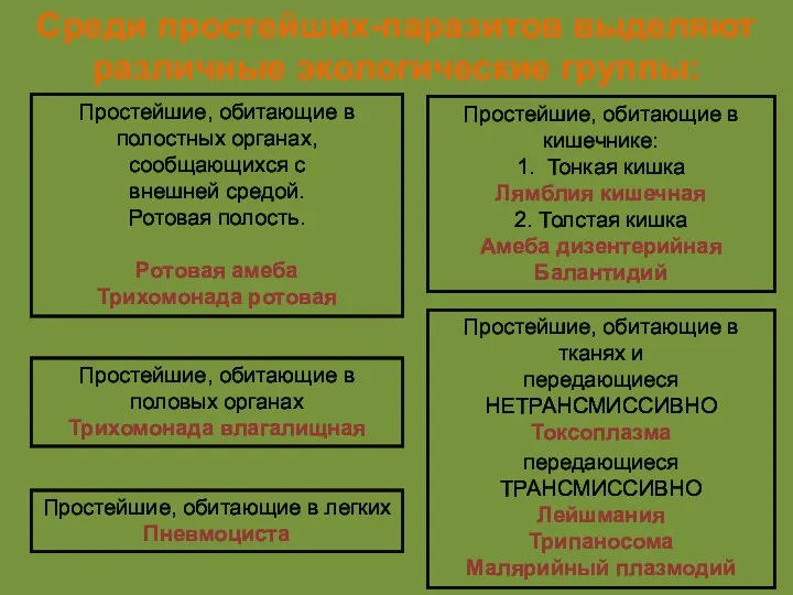 Среди простейших-паразитов выделяют различные экологические группы: Простейшие, обитающие в полостных органах,