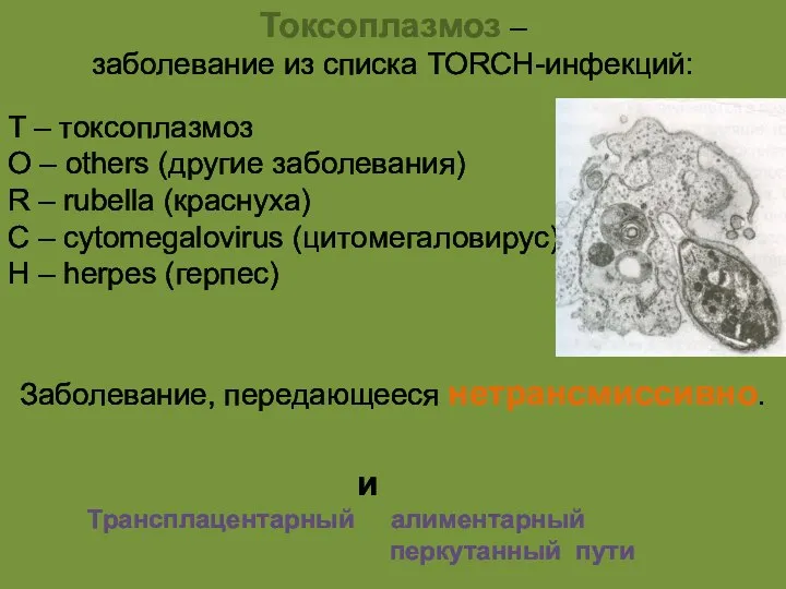 Токсоплазмоз – заболевание из списка TORCH-инфекций: T – токсоплазмоз O –