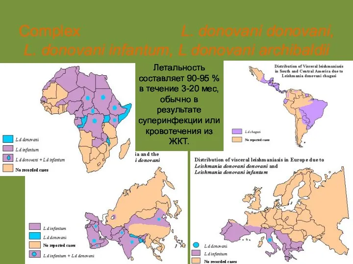 Висцеральный лейшманиоз Complex L. donovani donovani, L. donovani infantum, L donovani