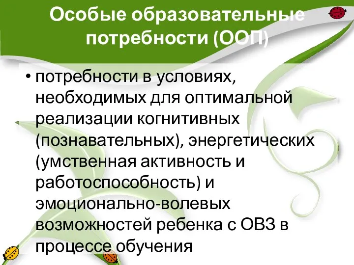 Особые образовательные потребности (ООП) потребности в условиях, необходимых для оптимальной реализации