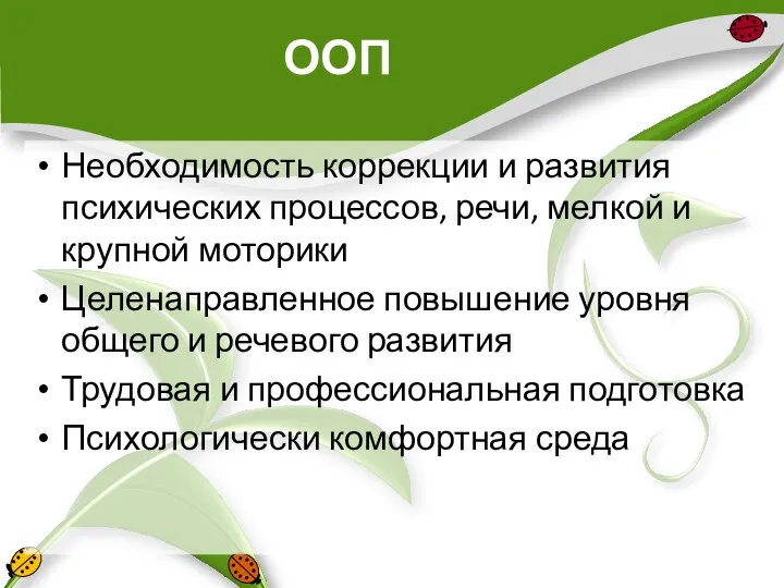 ООП Необходимость коррекции и развития психических процессов, речи, мелкой и крупной