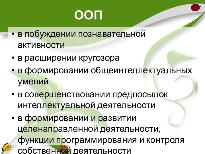 ООП в побуждении познавательной активности в расширении кругозора в формировании общеинтеллектуальных