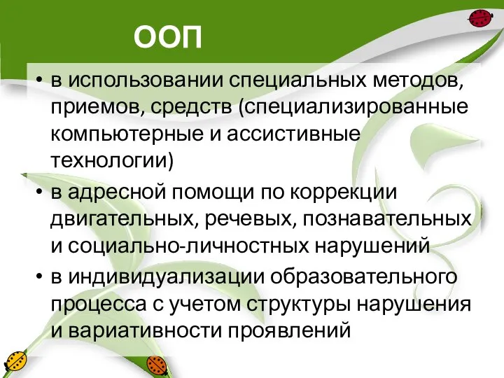 ООП в использовании специальных методов, приемов, средств (специализированные компьютерные и ассистивные