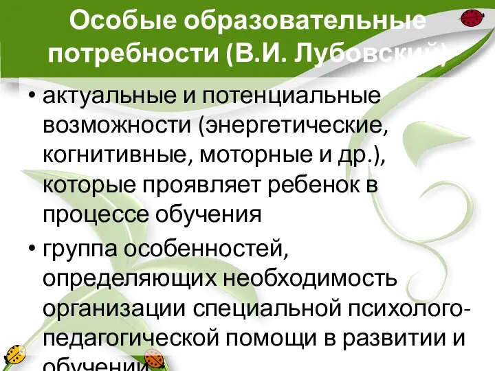 Особые образовательные потребности (В.И. Лубовский) актуальные и потенциальные возможности (энергетические, когнитивные,