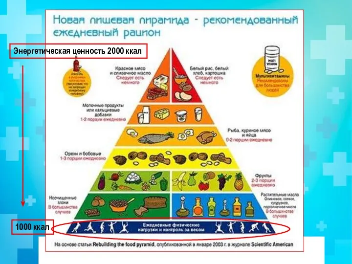 Энергетическая ценность 2000 ккал 1000 ккал