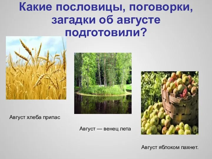 Какие пословицы, поговорки, загадки об августе подготовили? Август — венец лета