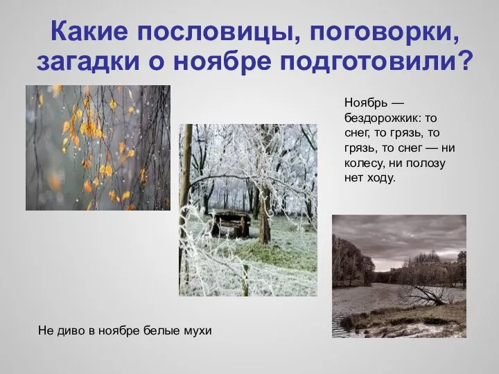 Какие пословицы, поговорки, загадки о ноябре подготовили? Не диво в ноябре