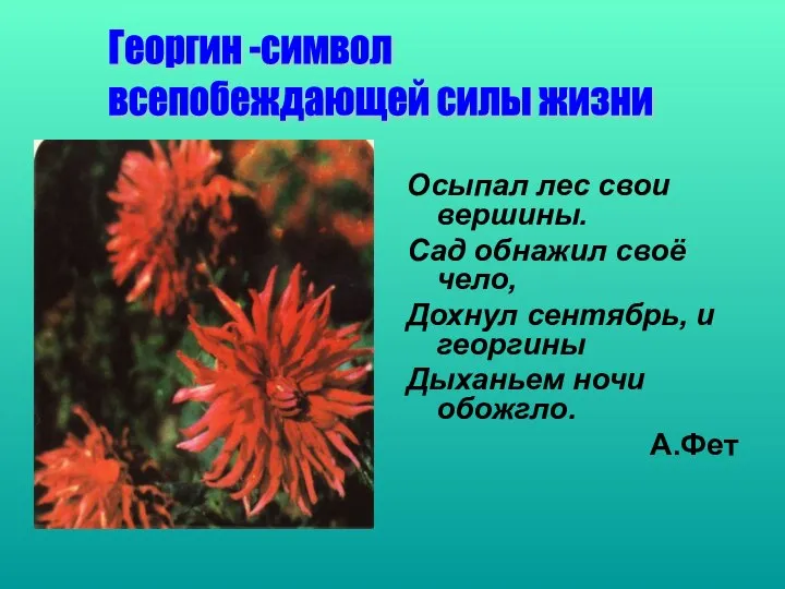 Осыпал лес свои вершины. Сад обнажил своё чело, Дохнул сентябрь, и