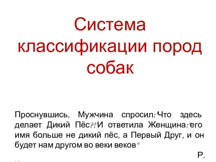 Система классификации пород собак Проснувшись, Мужчина спросил:"Что здесь делает Дикий Пёс?!"И