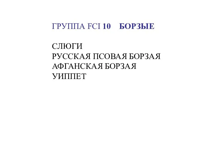 ГРУППА FCI 10 БОРЗЫЕ СЛЮГИ РУССКАЯ ПСОВАЯ БОРЗАЯ АФГАНСКАЯ БОРЗАЯ УИППЕТ