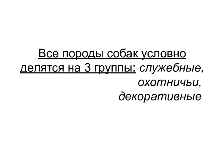 Все породы собак условно делятся на 3 группы: служебные, охотничьи, декоративные