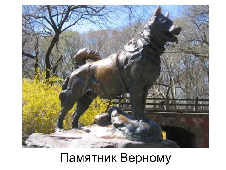 Памятник Верному