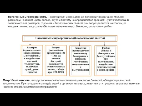 Микробные токсины - продукты жизнедеятельности некоторых видов бактерий, обладающие высокой токсичностью.