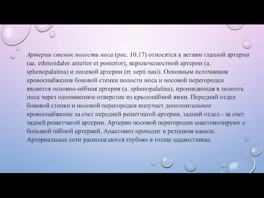 Артерии стенок полости носа (рис. 10.17) относятся к ветвям глазной артерии