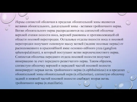 Нервы слизистой оболочки в пределах обонятельной зоны являются ветвями обонятельного, дыхательной