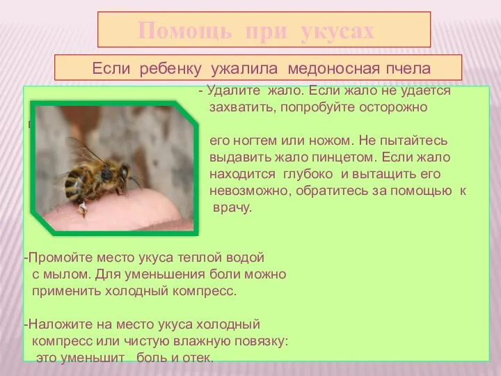 Помощь при укусах Если ребенку ужалила медоносная пчела - Удалите жало.