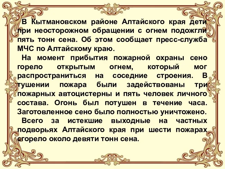 В Кытмановском районе Алтайского края дети при неосторожном обращении с огнем