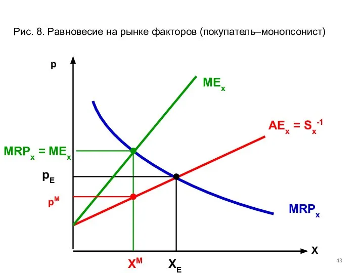 MRPх = MEх Х MRPх р Рис. 8. Равновесие на рынке