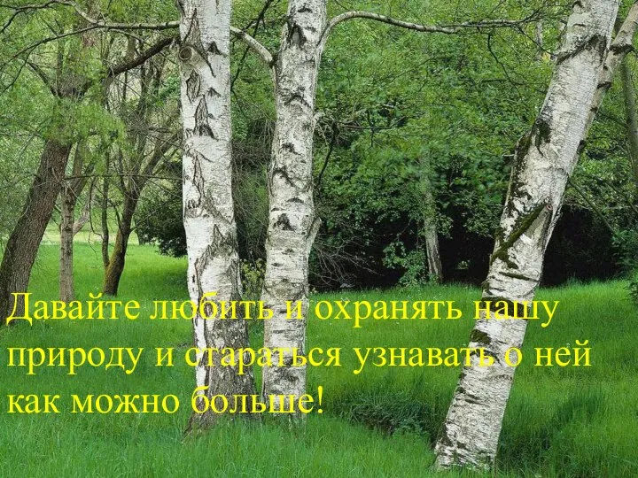 Давайте любить и охранять нашу природу и стараться узнавать о ней как можно больше!