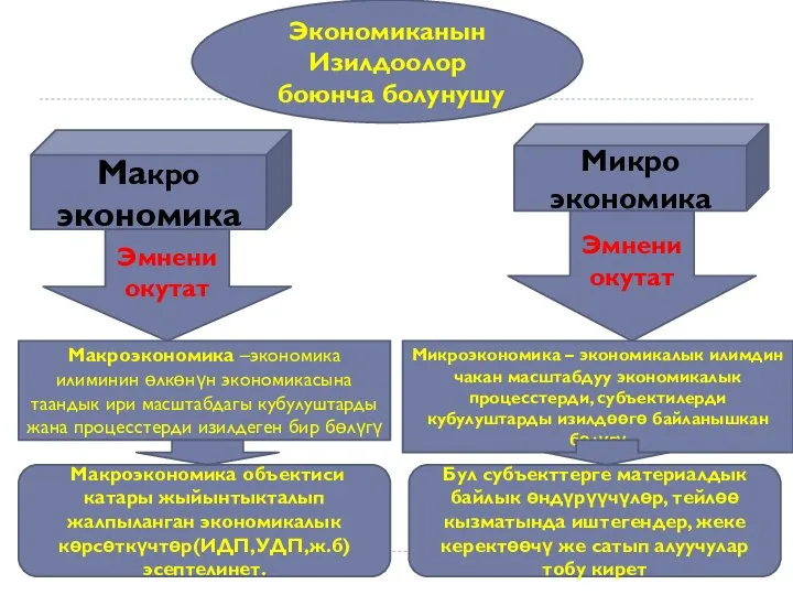 Экономиканын Изилдоолор боюнча болунушу Макро экономика Микро экономика Эмнени окутат Эмнени