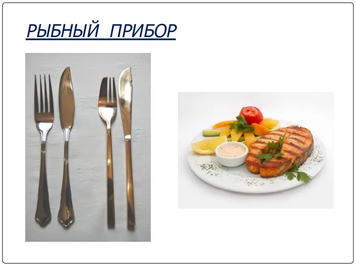 РЫБНЫЙ ПРИБОР