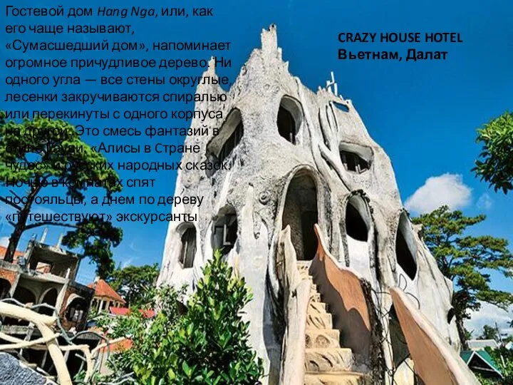 CRAZY HOUSE HOTEL Вьетнам, Далат Гостевой дом Hang Nga, или, как