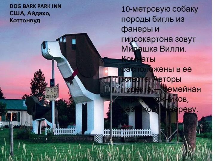 DOG BARK PARK INN США, Айдахо, Коттонвуд 10-метровую собаку породы бигль