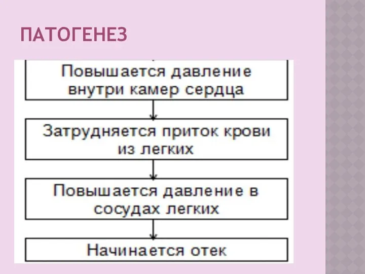 ПАТОГЕНЕЗ