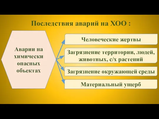 Последствия аварий на ХОО : Человеческие жертвы Загрязнение территории, людей, животных,