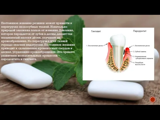 Постоянное жевание резинки может привести к перегрузке околозубных тканей. Изначально природой