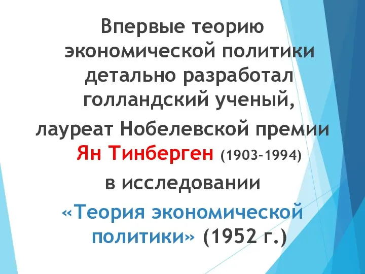 Впервые теорию экономической политики детально разработал голландский ученый, лауреат Нобелевской премии