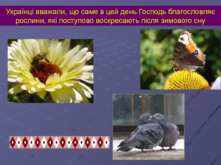 Українці вважали, що саме в цей день Господь благословляє рослини, які поступово воскресають після зимового сну